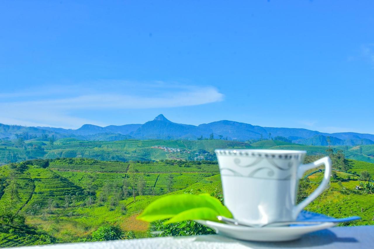 Tea Queens Bungalow Hatton Esterno foto